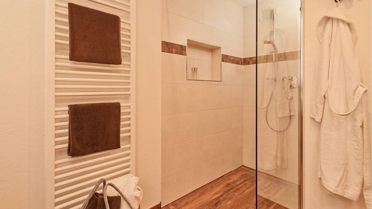 Rheinblick-Chalet: Bad mit Dusche & WC im EG Rheinblick-Chalet: Bad mit Dusche & WC im EG